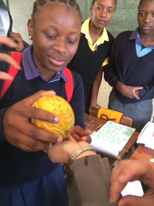 Feeding the Americans a funky Namibian fruit to watch our reactions.. a favorite learner activity.